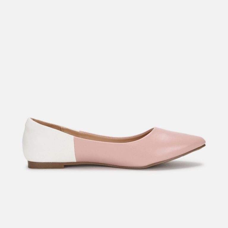 Women Colourblocked Pointed Toe Ballerinas